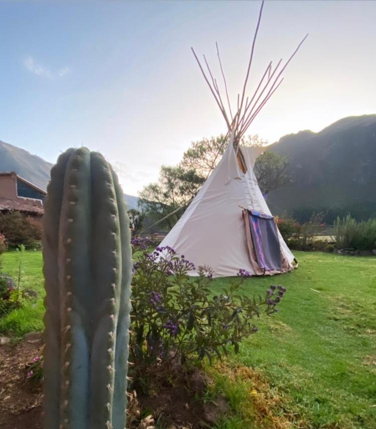 Sonqo Andino Hospedaje Medicina Pisac Buitenkant foto